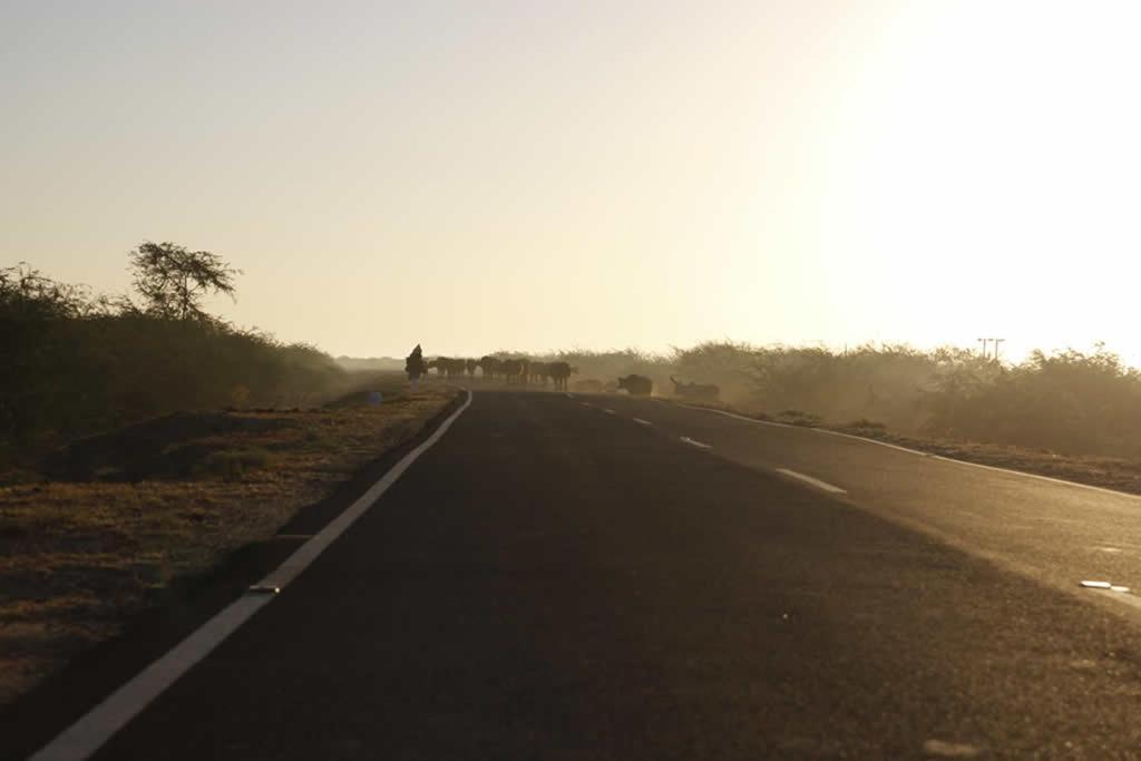 Rann Visamo Resort Bherandiāla 外观 照片